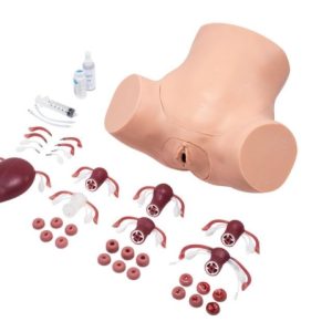 Uitgebreide Gynaecologische Vaardigheidstrainer
