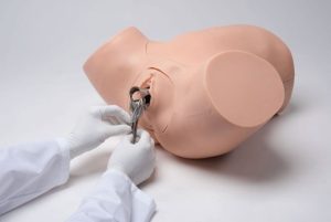 Uitgebreide Gynaecologische Vaardigheidstrainer
