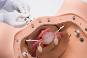 Uitgebreide Gynaecologische Vaardigheidstrainer