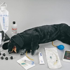Uitgebreide Reanimatie Trainer Hond