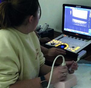 Ultrasound Trainer