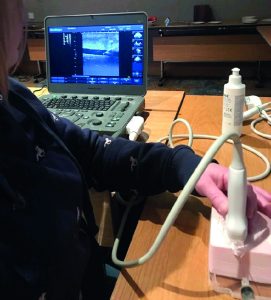 Ultrasound Trainer