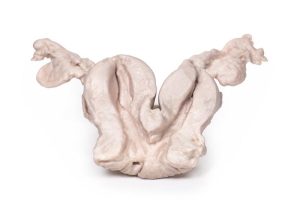 Uterus Bicornis Unicollis, 3D Print