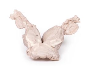 Uterus Bicornis Unicollis, 3D Print