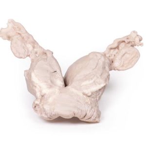 Uterus Bicornis Unicollis, 3D Print