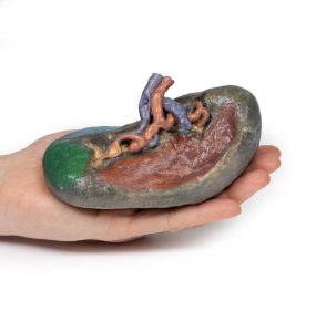 Vaatstelsel Milt, 3D Print
