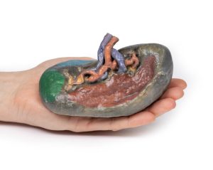 Vaatstelsel Milt, 3D Print