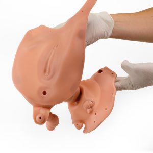 Vagina Inzetstuk