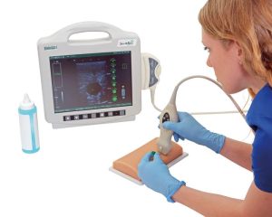 Vasculaire Toegang Echografie Model