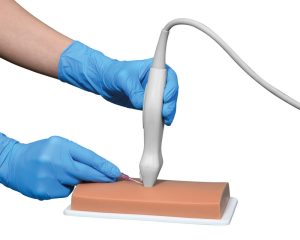 Vasculaire Toegang Echografie Model