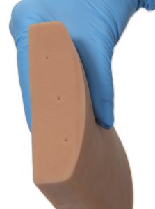 Vasculaire Toegang Echografie Model