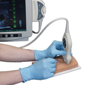 Vasculaire Toegang Echografie Model