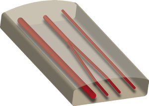 Vasculaire Toegang Echografie Model