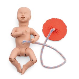 Verloskunde Modellen Set