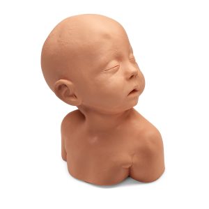 Huid en Ader voor Oefenmodel Kinderhoofd Injecties