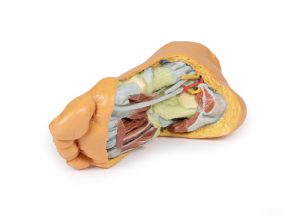 Voet, voetzool, diepe structuren, 3Dprint