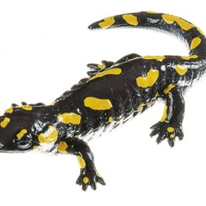 Gevlekte Vuursalamander Model