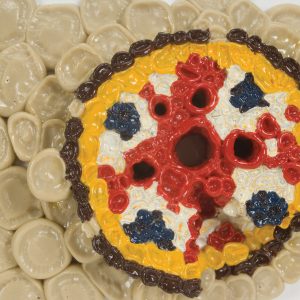 Weefsel Structuren Boterbloem Wortel Model