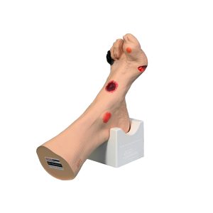 Wond Voetmodel