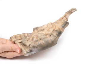 Ziekte van Hirschsprung, 3D Print